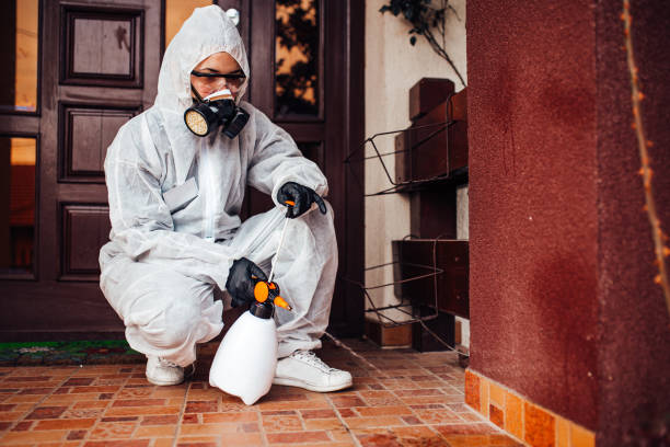 Reliable Ant Control contractor in Fresno, TX by Nex Pest Control