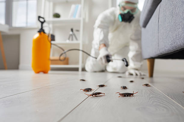 Trusted Rodent Control service in Fresno, TX - Nex Pest Control