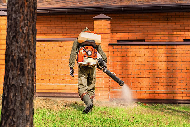 Trusted Ant Control service in Fresno, TX - Nex Pest Control